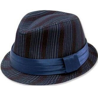 phoenix trilby hoedje retro blauw