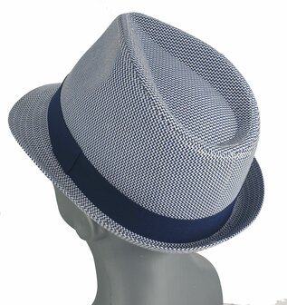 Herenhoedje katoenen zomerhoedje trilby kleur blauw 