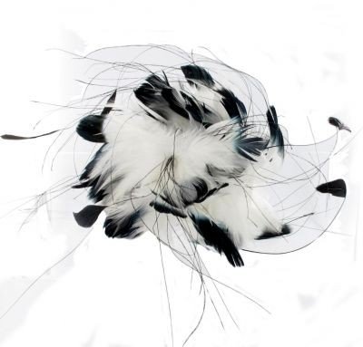Haarversiering PETULA Zwart witte fascinator met veel veren