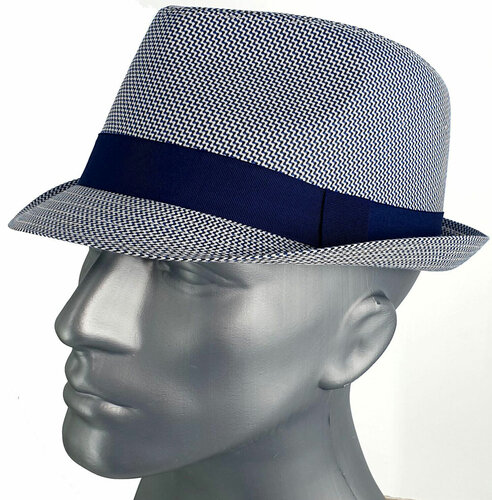 Herenhoedje katoenen zomerhoedje trilby kleur blauw 